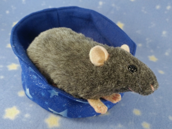 Blue Grey Berkshire Rat Plushie