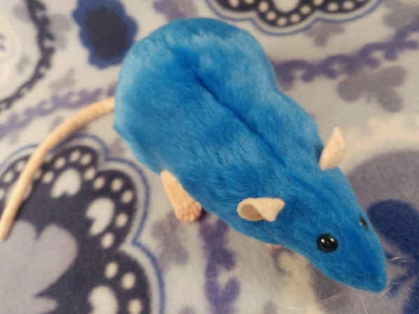 Blue Rat Plushie