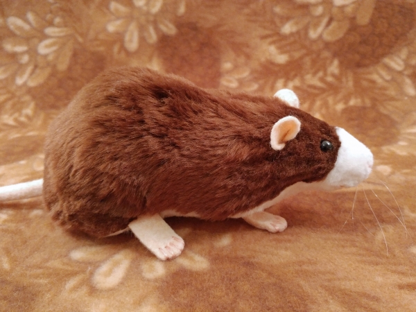 Brown Blazed Rat Plushie