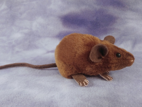 brown mouse stuffed animal