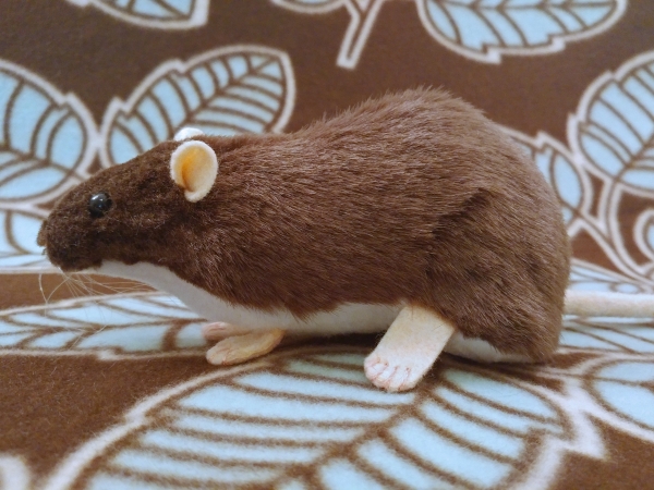 Dark Brown Berkshire Rat Plushie