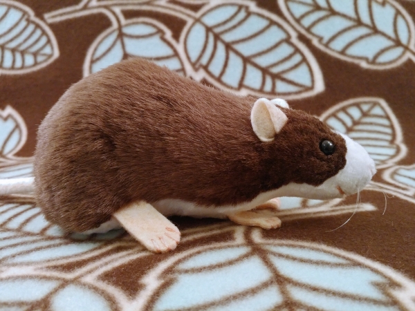 Dark Brown Blazed Rat Plushie
