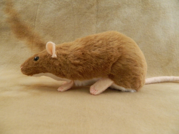 Fawn Berkshire Rat Plushie