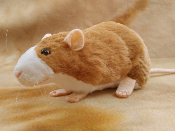 Fawn Blazed Rat Plushie