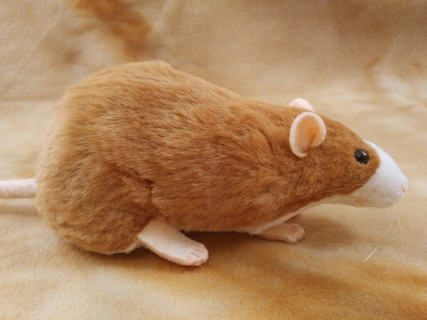 Fawn Blazed Rat Plushie