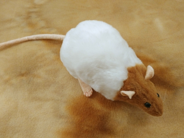 Fawn Capped Rat Plushie