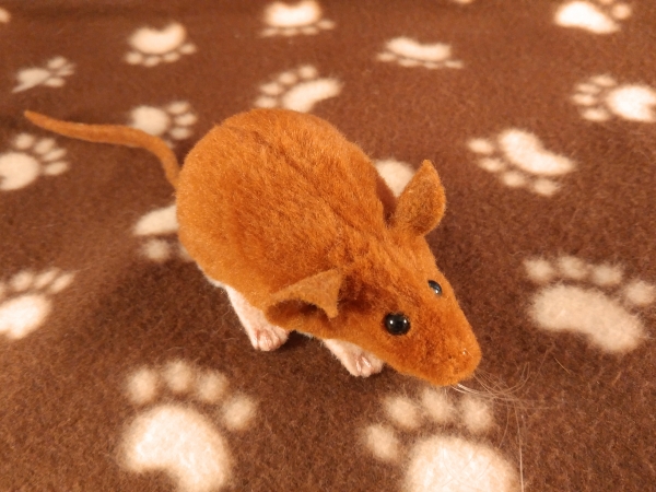 Ginger Mouse Plushie with White Belly