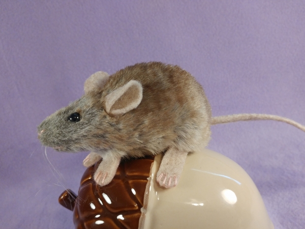 House Mouse Plushie