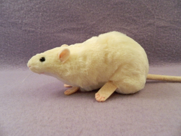 Ivory Berkshire Rat Plushie