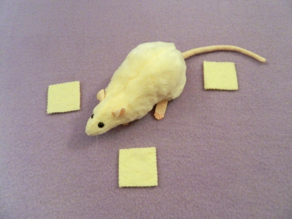 Ivory Berkshire Rat Plushie