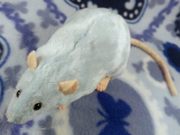 Light Blue Rat Plushie
