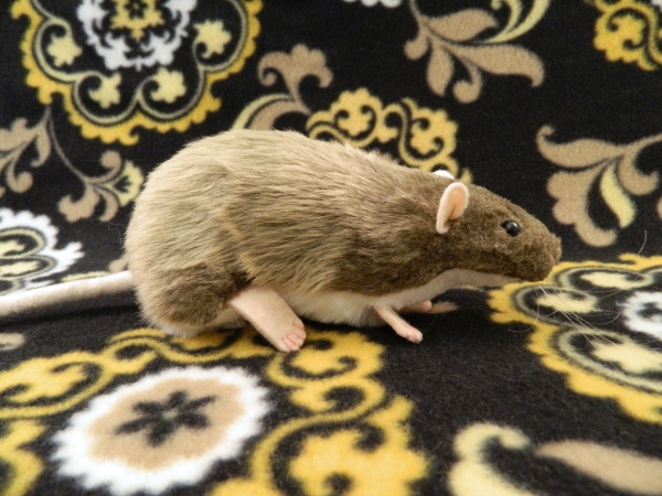 Light Brown Berkshire Rat Plushie