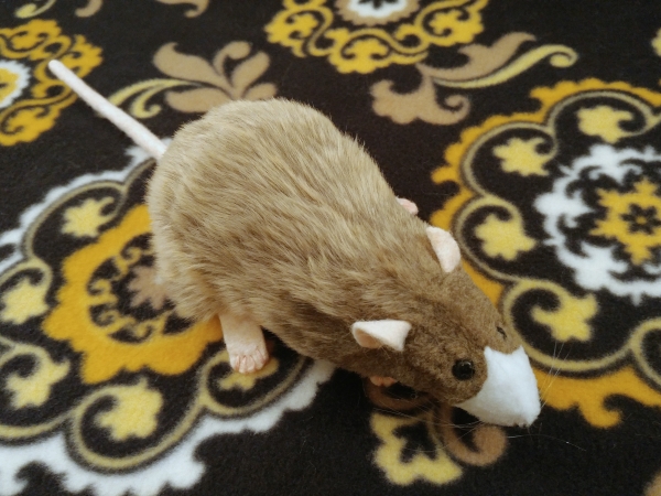 Light Brown Blazed Rat Plushie