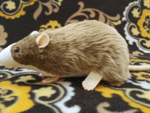 Light Brown Blazed Rat Plushie