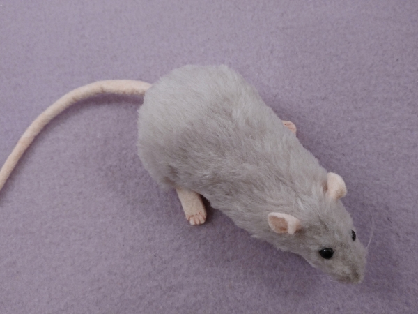 Light Grey Berkshire Rat Plushie