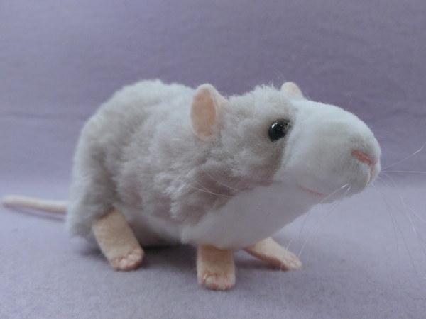Light Grey Blazed Rat Plushie
