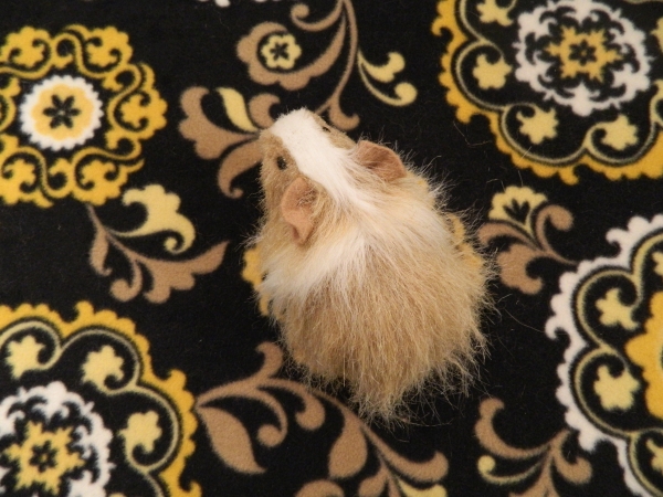 Little Beige Dutch Longhaired Guinea Pig Plushie
