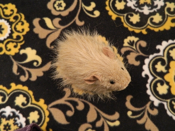 Little Beige Longhaired Guinea Pig Plushie