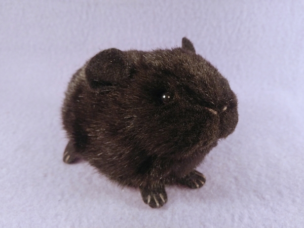 Little Black Shorthaired Guinea Pig Plushie