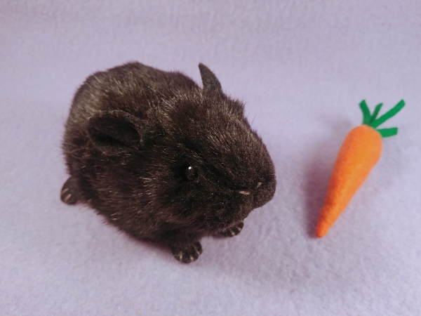 Little Black Shorthaired Guinea Pig Plushie