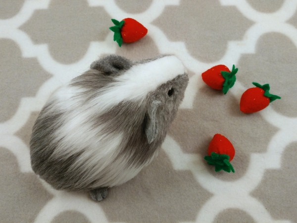 Little Grey Dutch Guinea Pig Plushie