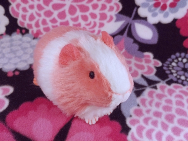 Little Hot Pink Dutch Guinea Pig Plushie