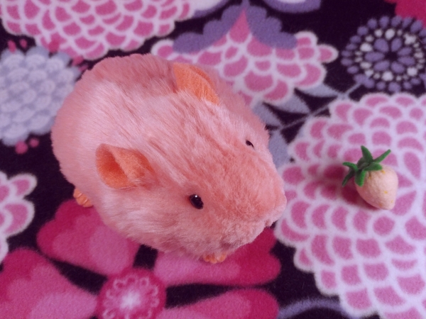 Little Hot Pink Guinea Pig Plushie