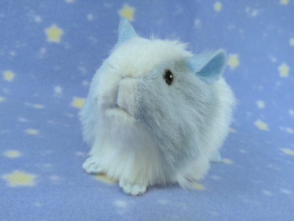 Little Light Blue Dutch Guinea Pig Plushie (Smooth)