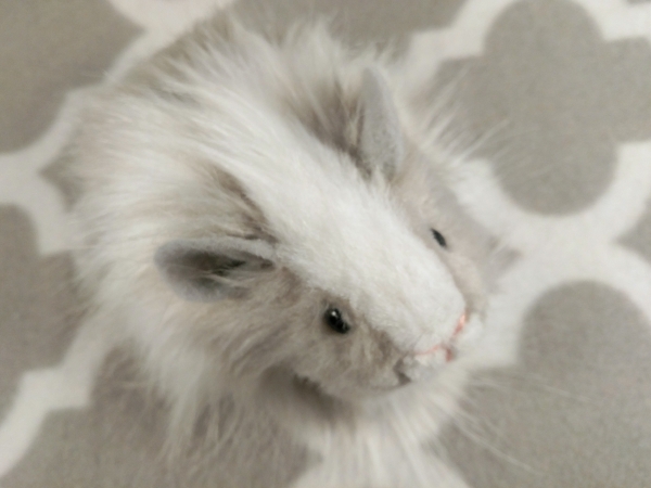 Little Grey Dutch Longhaired Guinea Pig Plushie