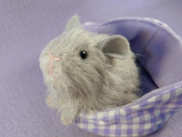 Little Light Grey Guinea Pig Plushie