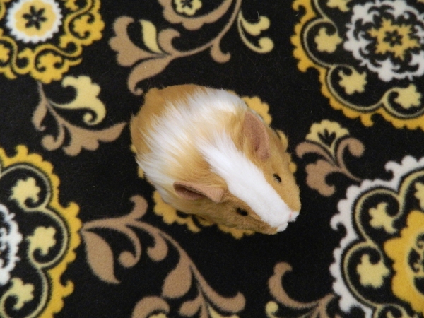 Little Tan Dutch Guinea Pig Plushie