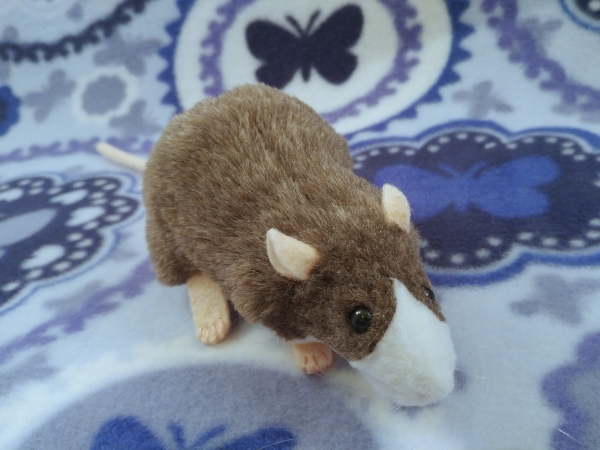 Mink Blazed Rat Plushie