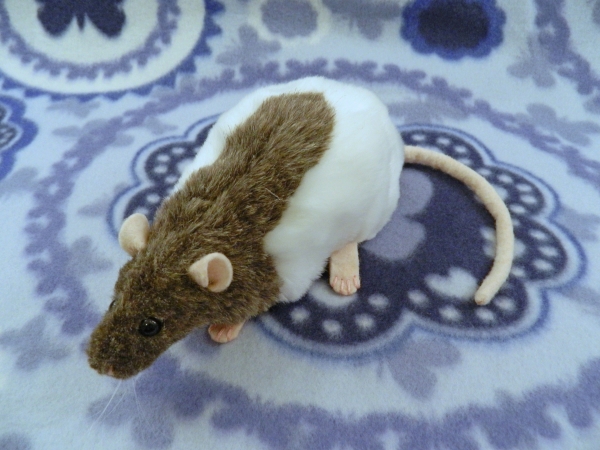 Mink Half-Hooded Rat Plushie