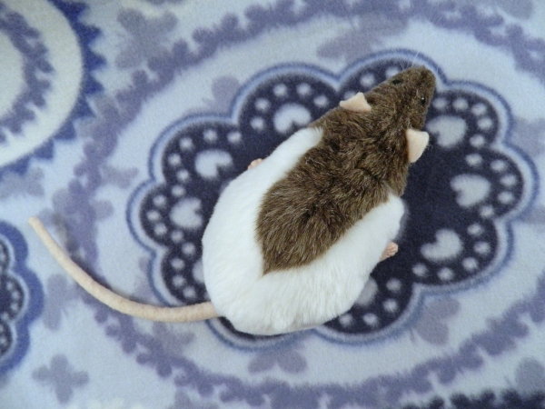 Mink Half-Hooded Rat Plushie