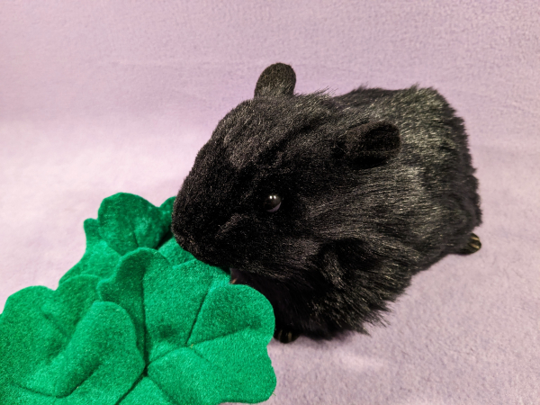 Big Black Dutch Guinea Pig Plushie