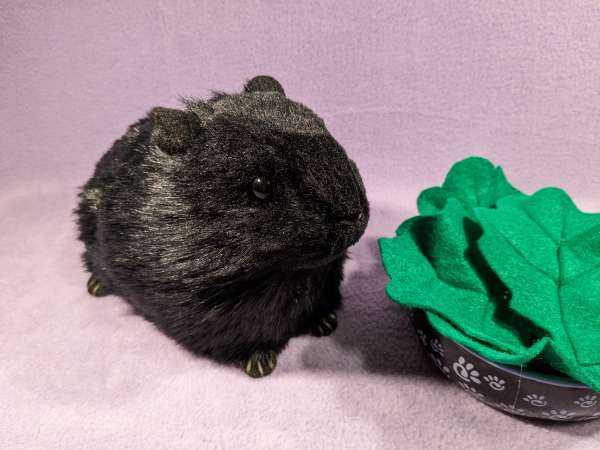 Big Black Dutch Guinea Pig Plushie
