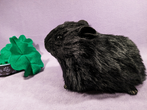 Big Black Dutch Guinea Pig Plushie