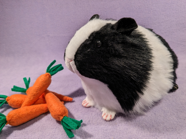 Big Black Dutch Guinea Pig Plushie