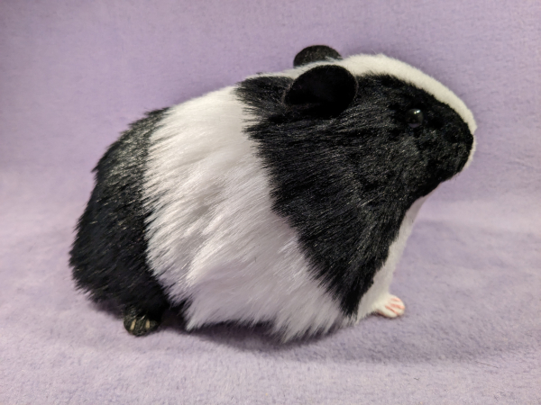 Big Black Dutch Guinea Pig Plushie