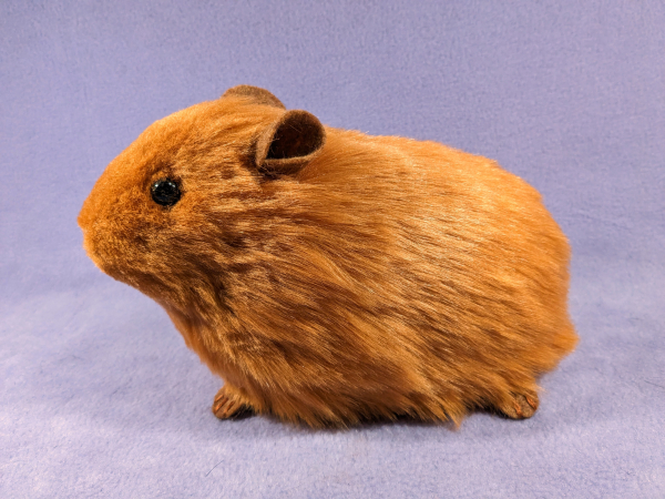 Big Ginger Guinea Pig Plushie