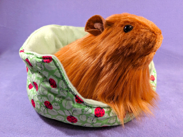 Big Ginger Longhaired Guinea Pig Plushie Citrine Mouse