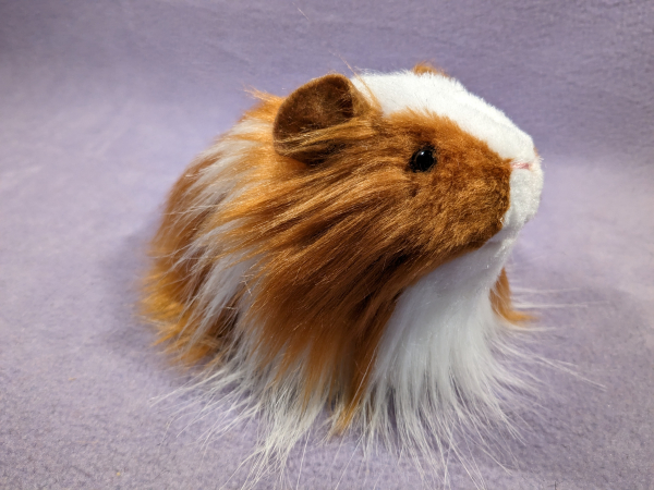 Little Ginger Dutch Longhaired Guinea Pig Plushie