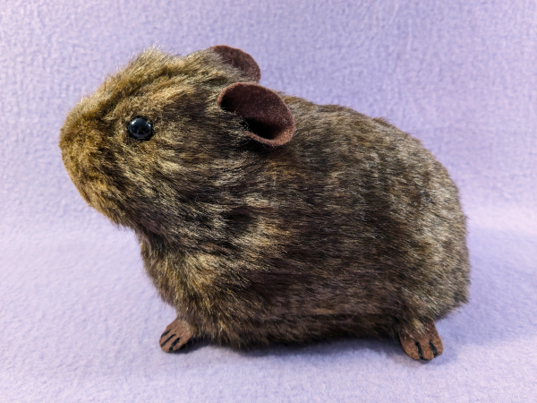 Big Agouti Brown Guinea Pig Plushie
