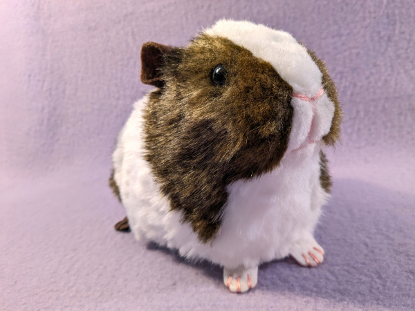 Big Agouti Brown Dutch Guinea Pig Plushie