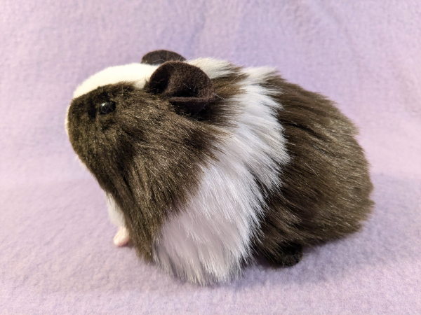 Little Dark Brown Dutch Guinea Pig Plushie