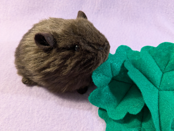 Little Dark Brown Guinea Pig Plushie