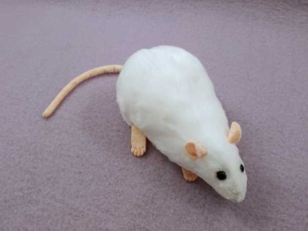 White Rat Plushie
