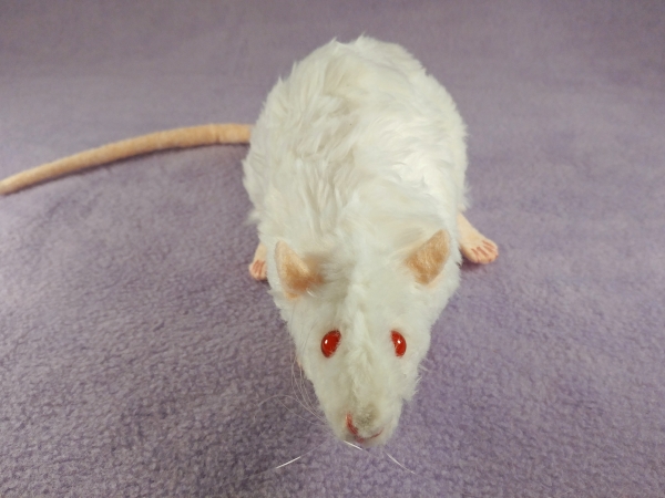 White Rex Rat Plushie