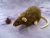 Agouti Brown Berkshire Rat Plushie