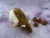 Agouti Brown Half-Hooded Rat Plushie